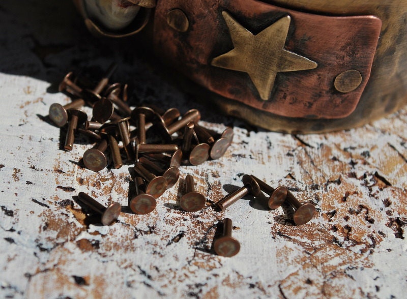 1/4" Flat Head Rivets- 30 pieces Solid Copper or Brass  -Free Shipping