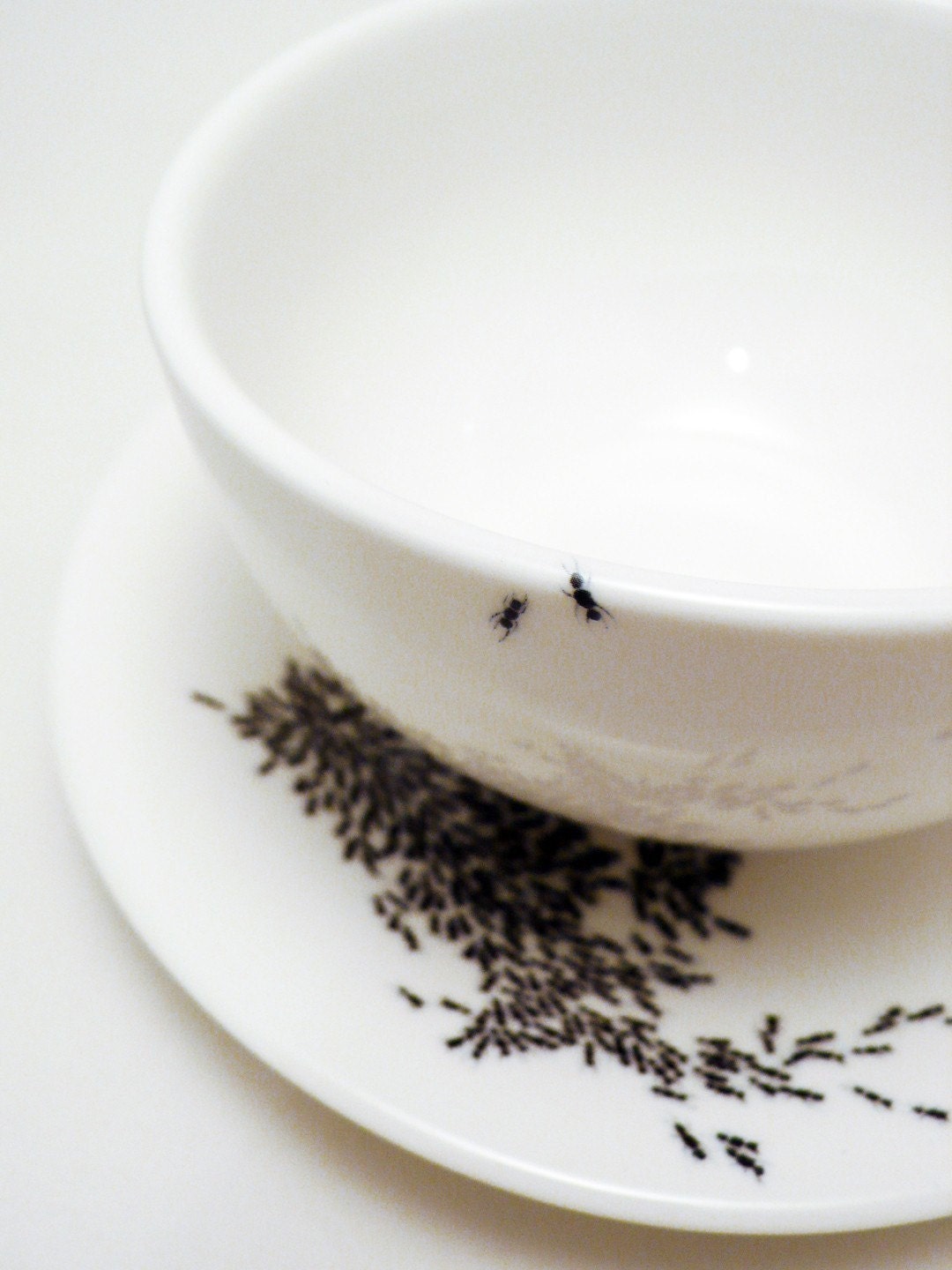 Ants On My Cup and Saucer