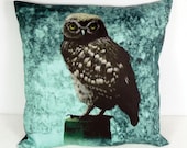 Pillow sham Little Owl  in 16x16 inch 40x40cm for throw pillow or accent pillow