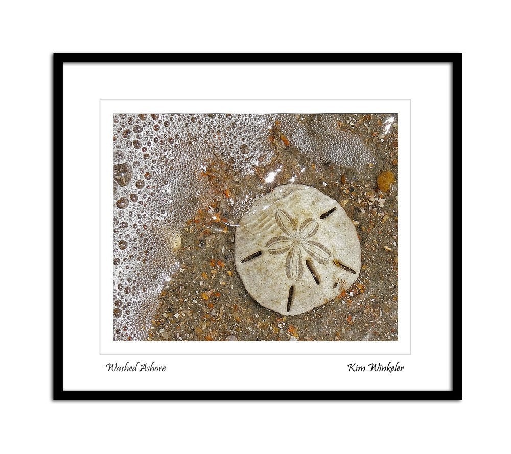 Sand Dollar in Surf 8x10 Fine Art Photograph