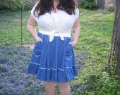1960s plus size square dance skirt / 60s xxl chambray circle skirt