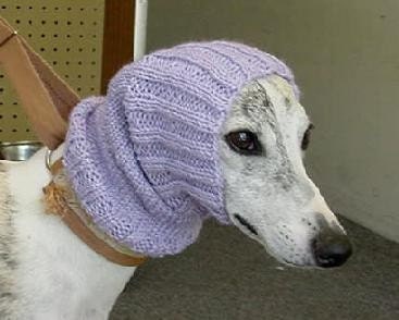 Custom Knitted Dog Snood