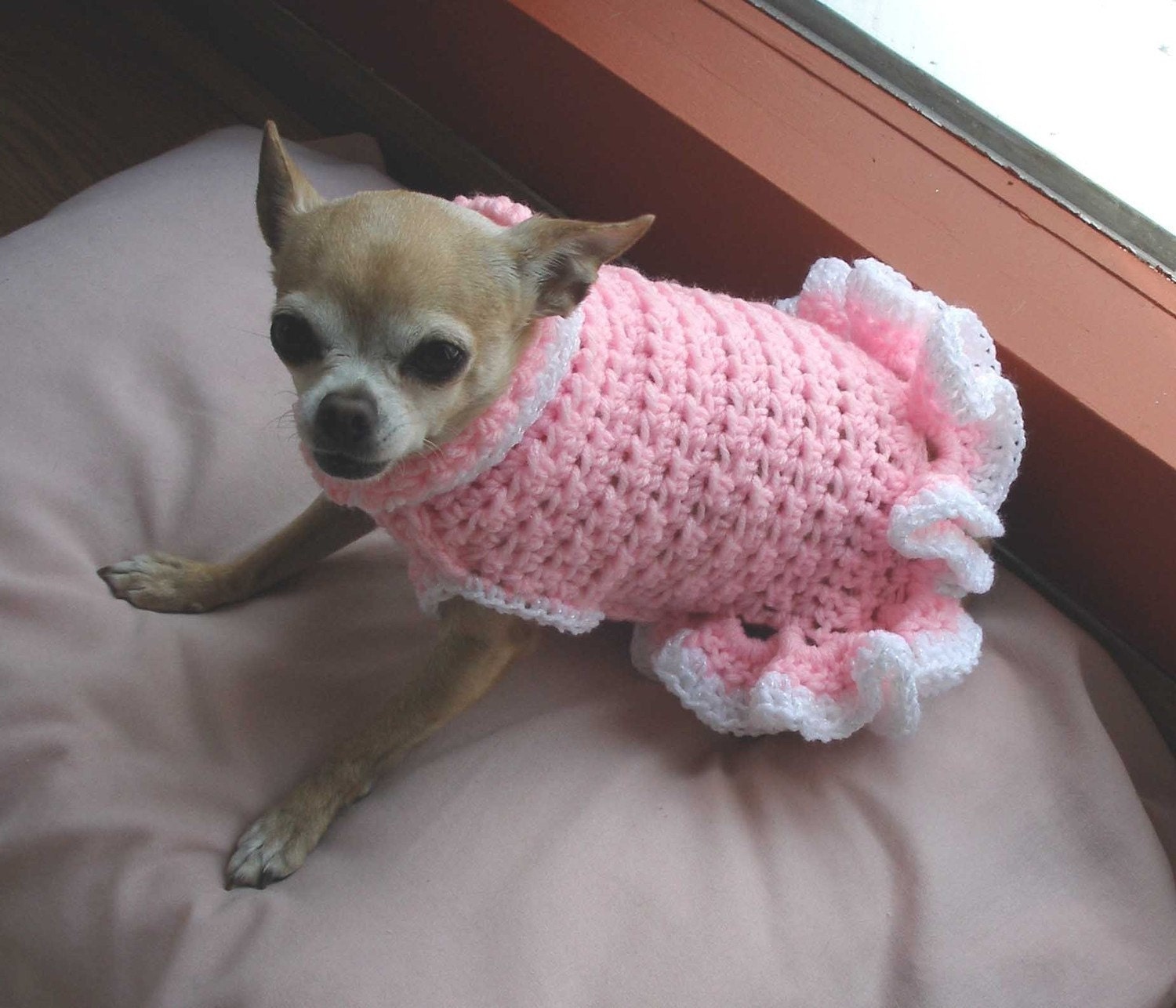 Immediate Download - PDF Crochet Pattern - Cha-Cha Dog Sweater Dress