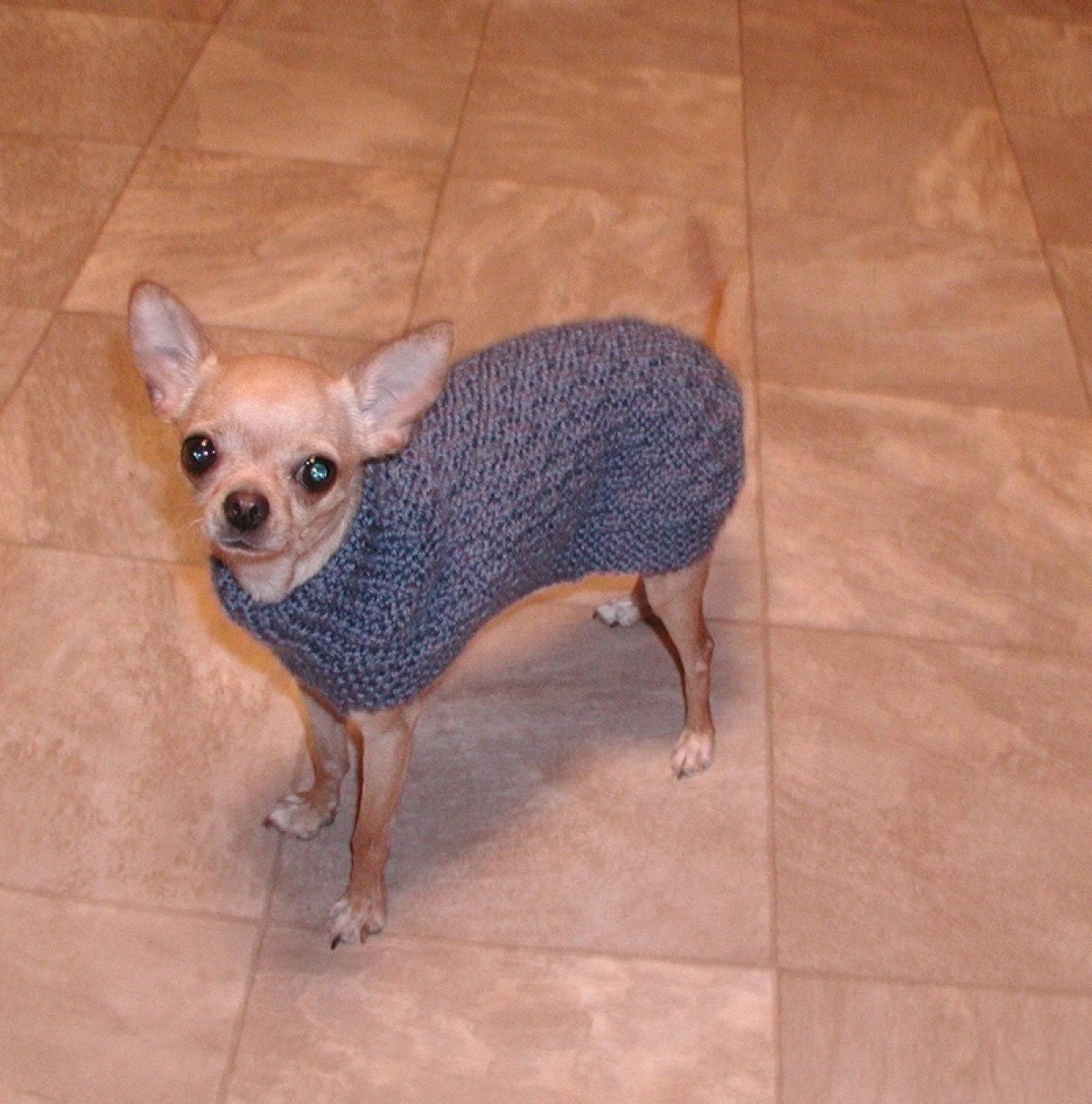 Easy Knitting Patterns For Dogs Sweaters