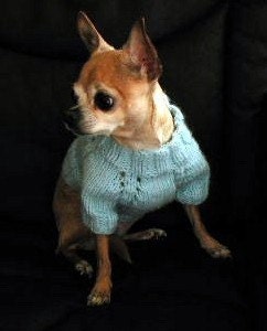 RAGLAN SLEEVE CROCHET BABY SWEATER PATTERN « CROCHET PATTERNS