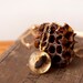 Round Real Bee Necklace, Colony Collapse Jewelry