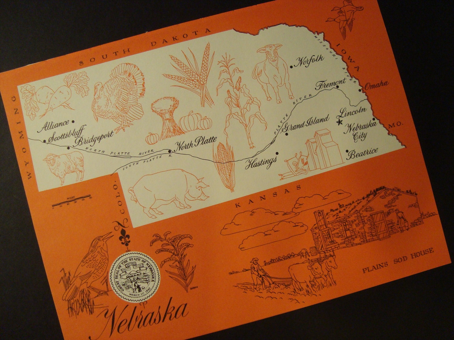 Map of Nebraska Vintage Original Print Number 115c