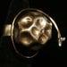 Orbit Cocktail Ring