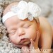 Baby Headband - Holiday Baby Headband White- White Chiffon Flower On A White Shimmery Stretch Headband- Baby Infant Toddler (WB)