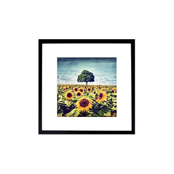 Landscape photography, Sunflower Photography, Farmhouse decor, Flower photography, Tree photography, summer Photography, Print 6x6 (15x15cm)