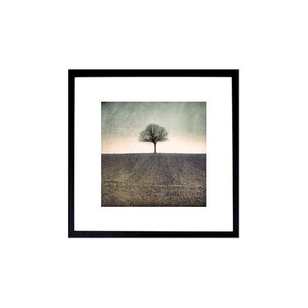 Landscape photography, Nature photography, Nature art, Tree branch, Nature  Fine Art Photography  , Tree photography, 8x8(20x20cm)