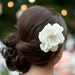 A Little Grace Bridal Ivory Peony Hair Flower, Wedding, Gift, Bridesmaid, Fascinator, Hair, Pearls, Sweet, Simple, Elegant