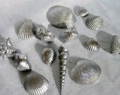 Assorted Silver Seashell Wedding Table Confetti- Set of 50