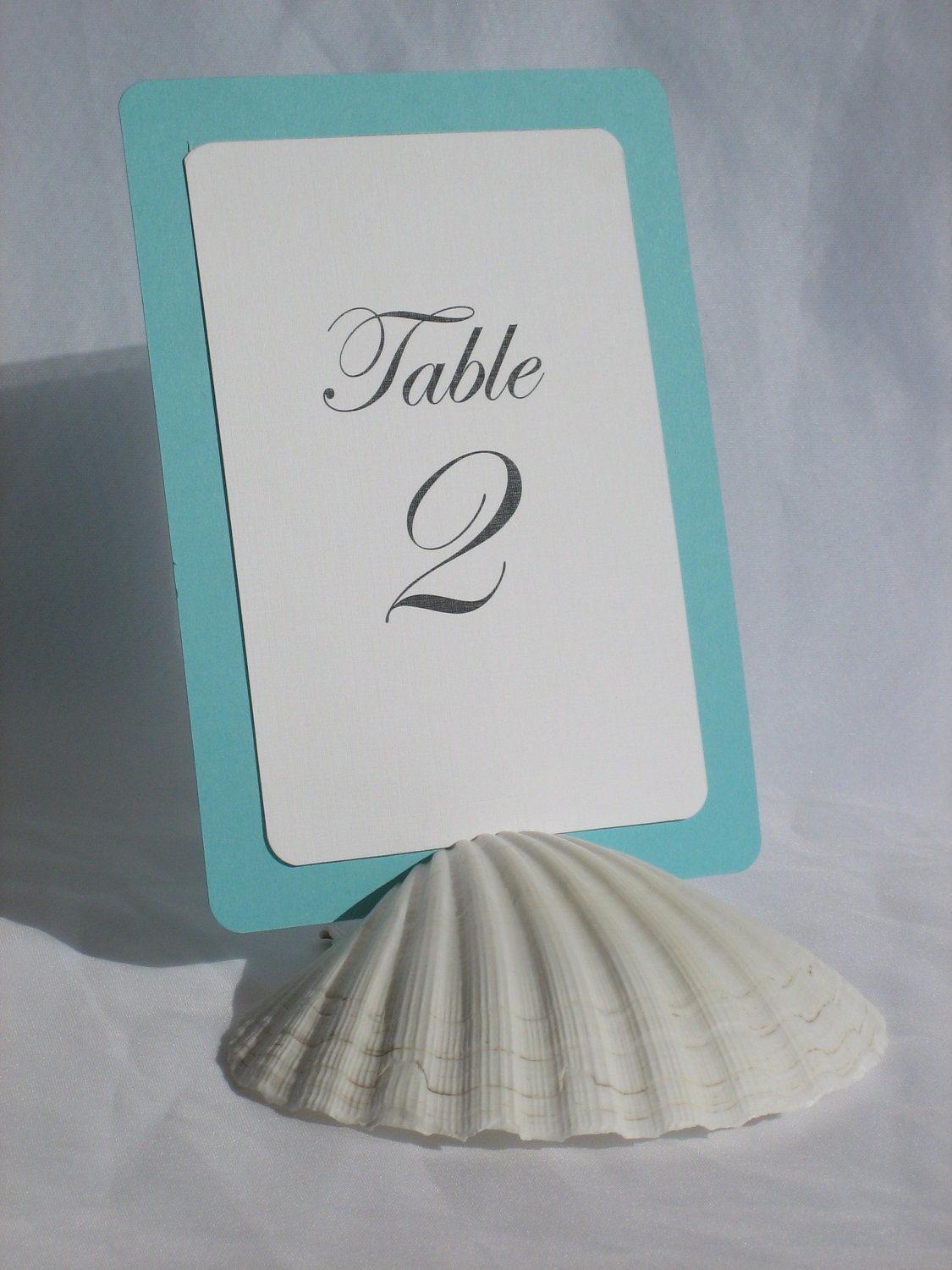 Natural White Scallop Shell Table Number Holder- Set of