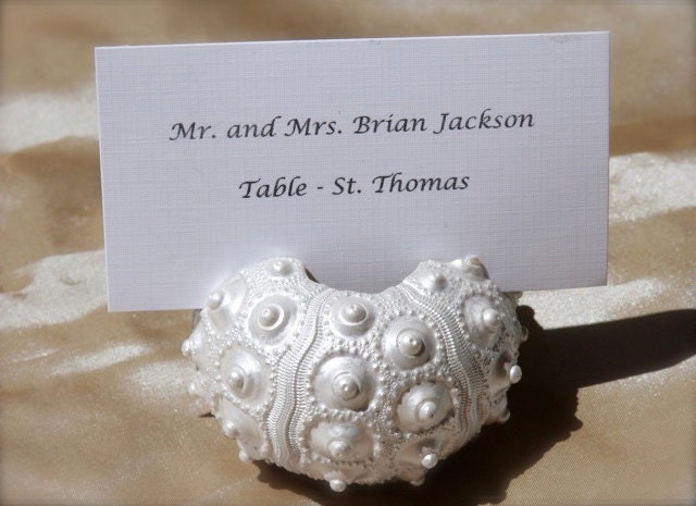 Pearlized Sea Urchin shell Place Card Holder-Set of 20
