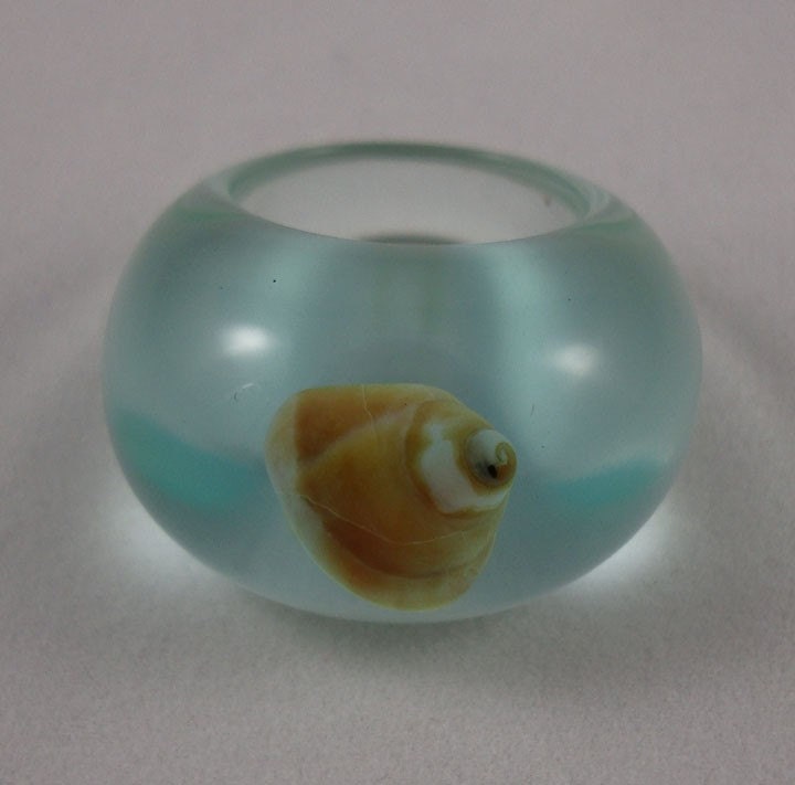 Another Sea Shell from the Sound Shore  Size 7.5