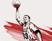 NBA Basketball Player Scottie Pippen Chicago Bulls