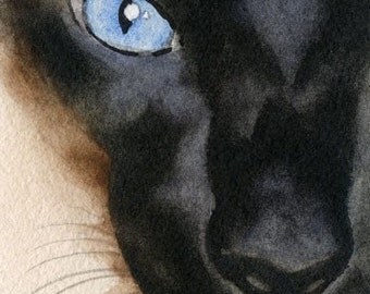 SIAMESE CAT Watercolor Signed Fine Art Print by Artist DJ Rogers