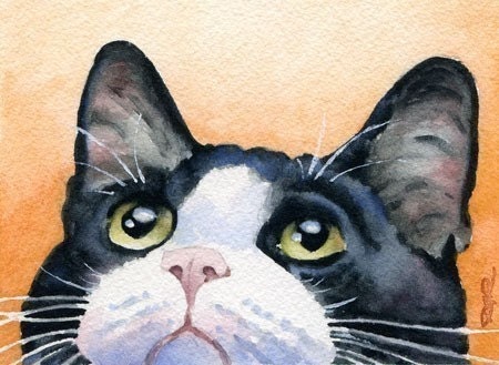 TUXEDO CAT Watercolor Signed Fine Art Print by Artist DJ Rogers