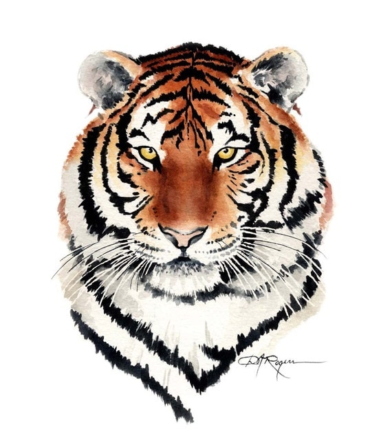 TIGER Watercolor Painting ART Print Signed by Artist DJ Rogers
