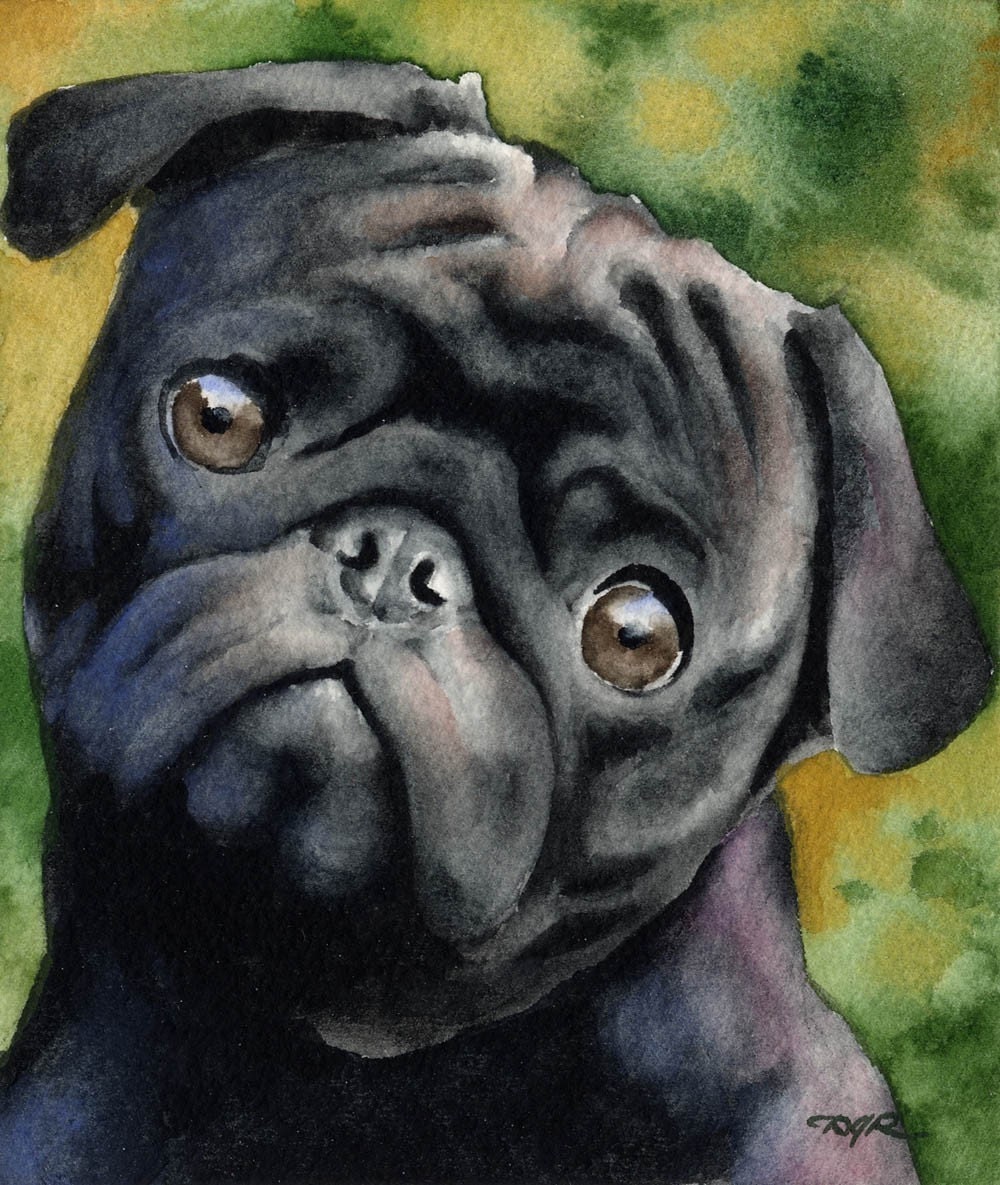 pug dog black