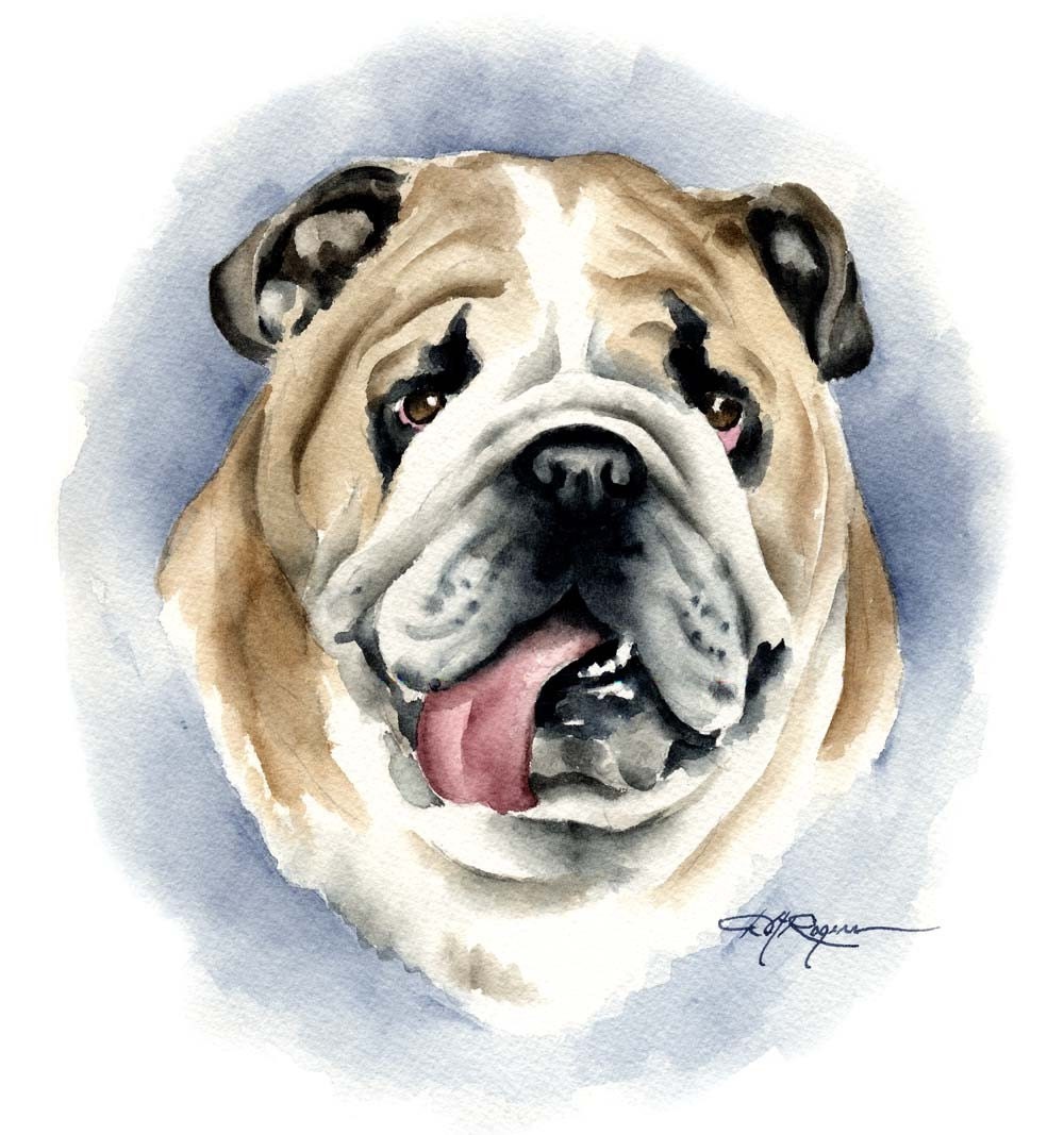 Bulldog Artwork