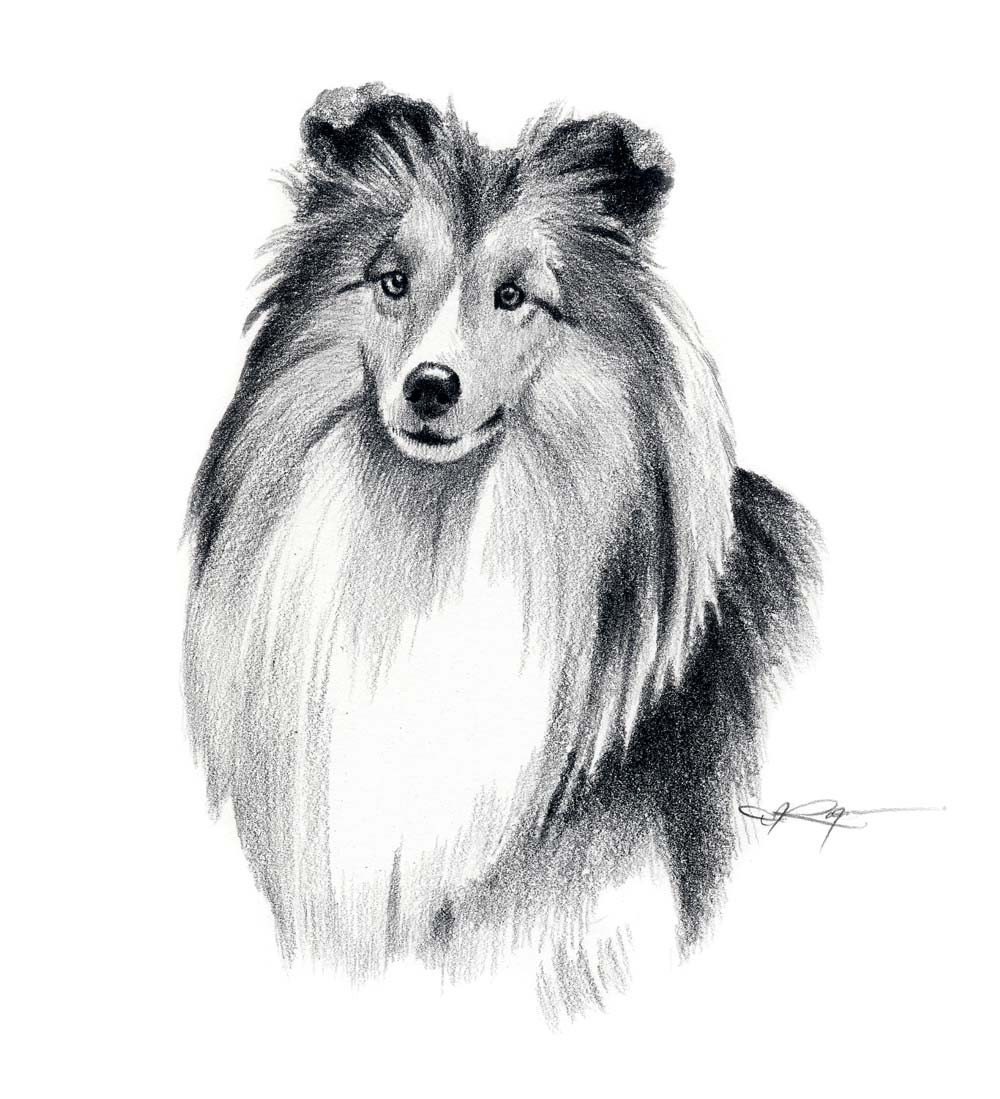 Pencil Drawings Dogs