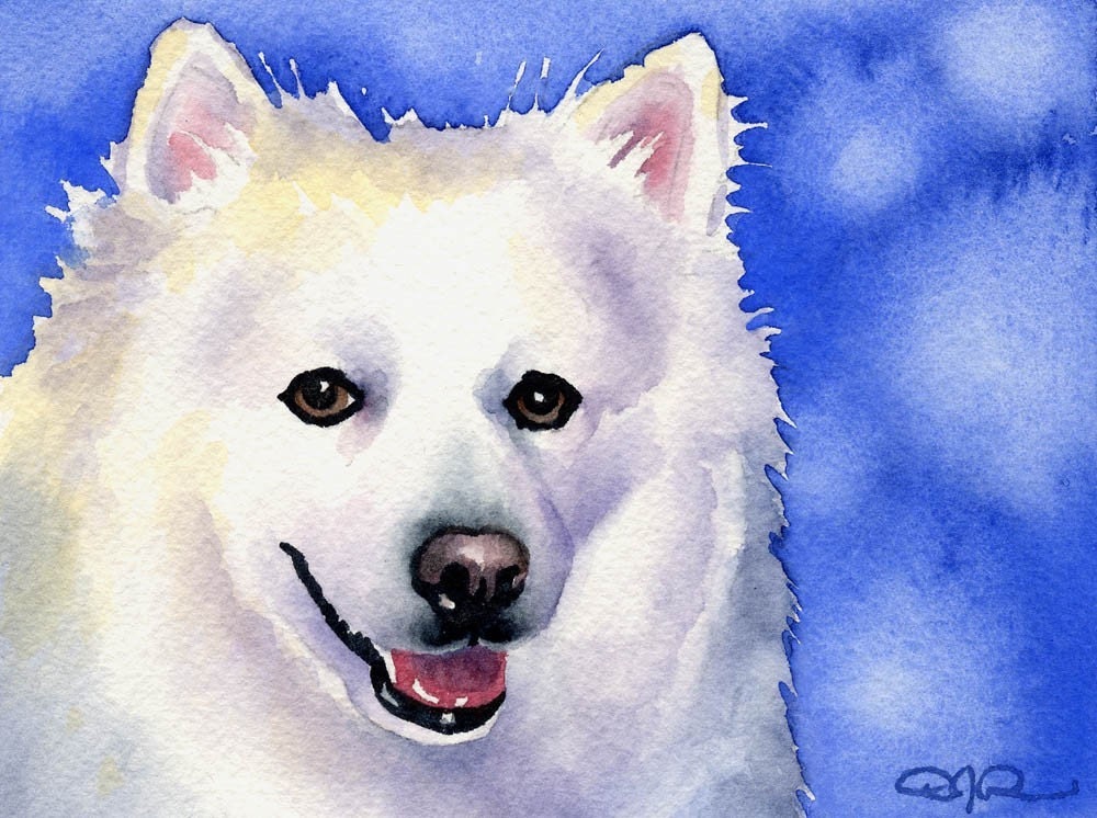 AMERICAN ESKIMO Dog Art Print Signed by Artist DJ by k9artgallery