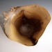 Natural Edge Pawpaw Wood Turned Bowl