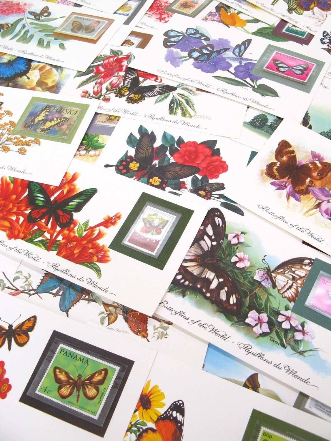 vintage butterfly presentation cards - 3 - mint stamps - ephemera