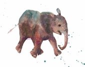 Elephant Print 8x10