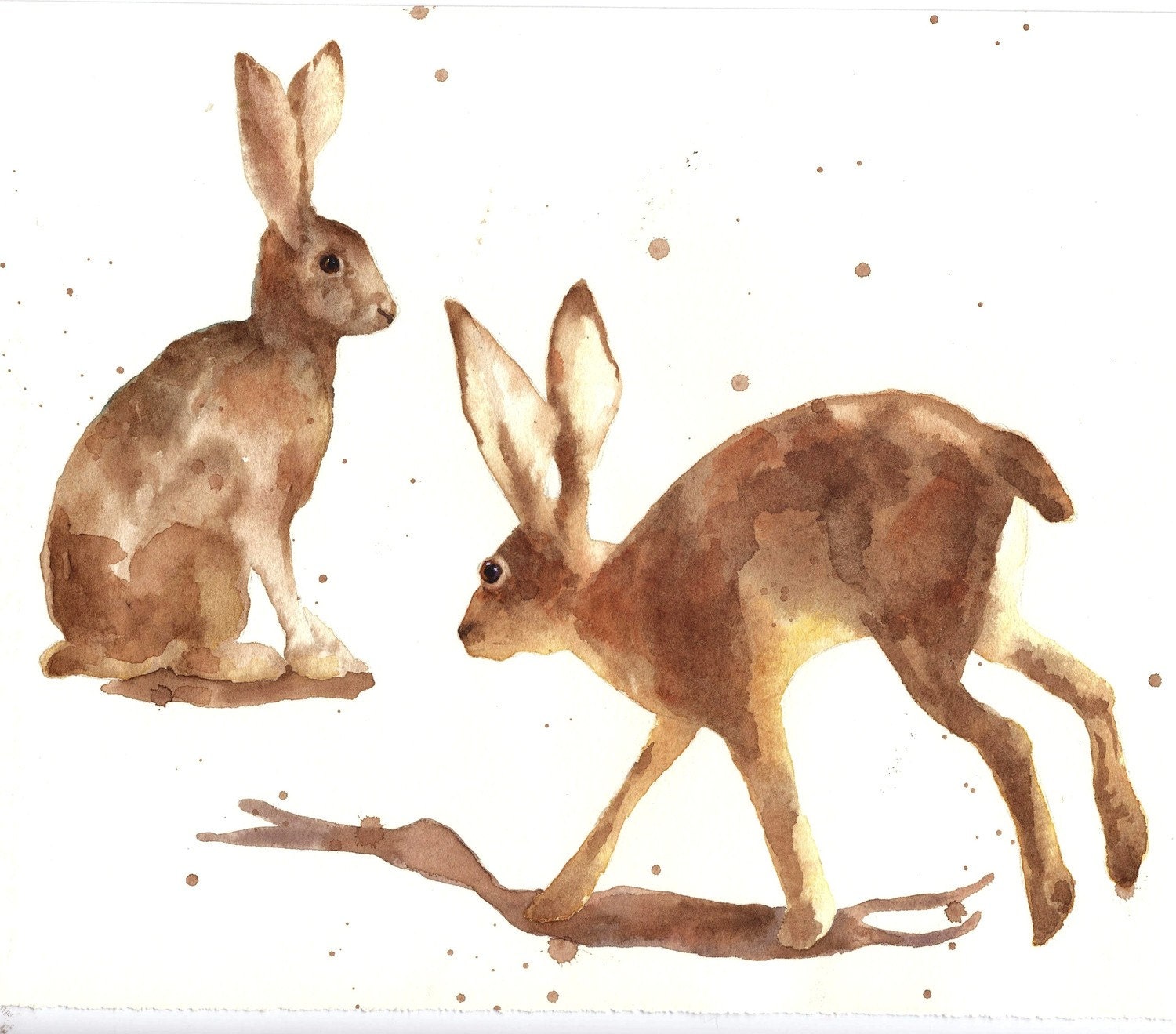 hares in art