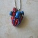 Anatomical heart red