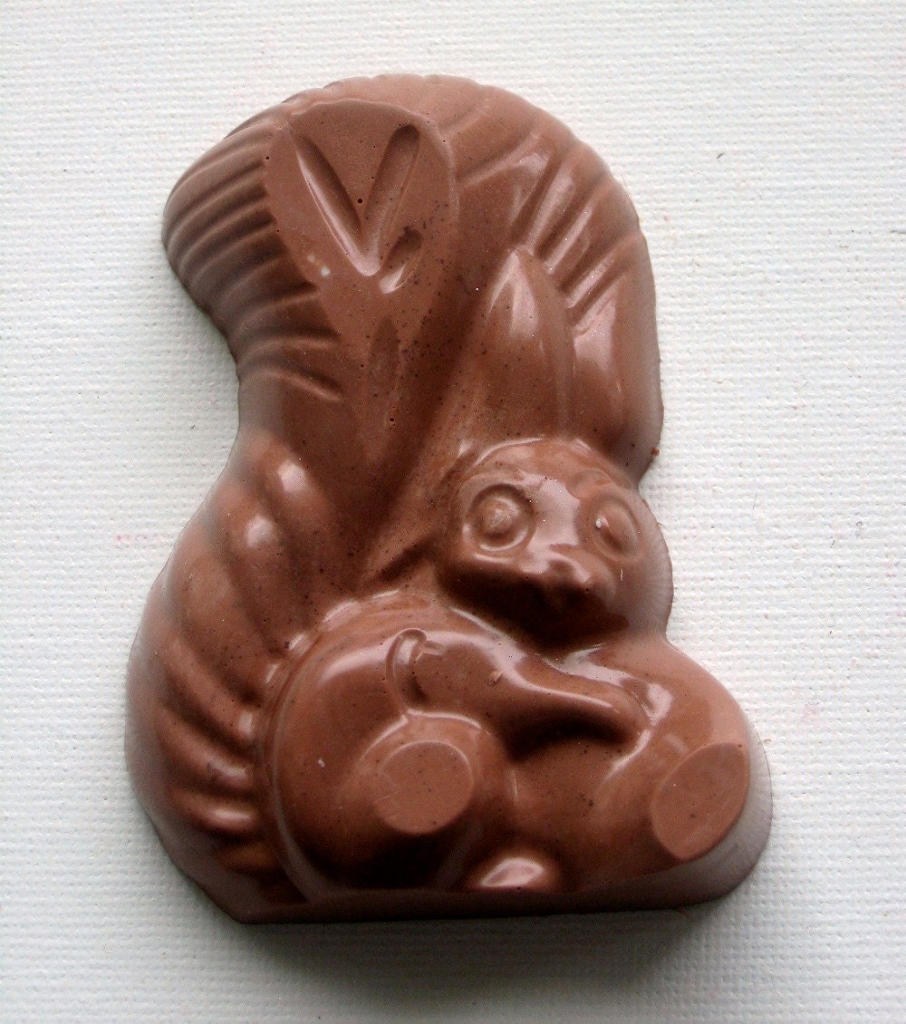 Squirrel Soap, Chocolate Soap, I ate your Chocolate Squirrel Vegan Shea Butter Soap, Chocolate Squirrel, Food Scented