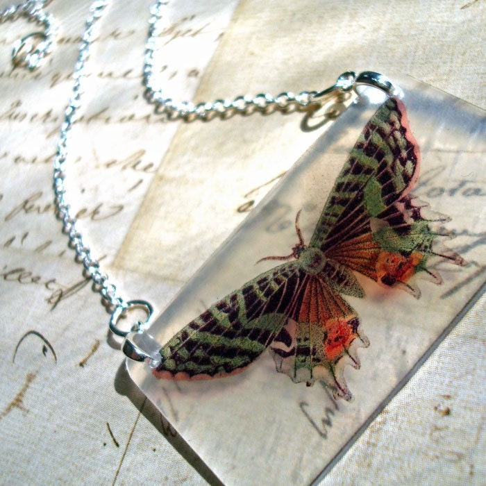 July Free Ship  specimen series / green beauty