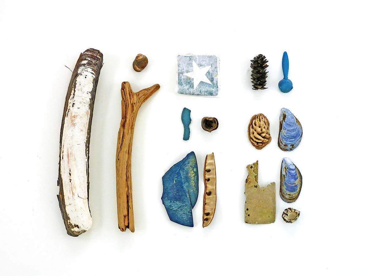 Beachcombing series (No.17), 8 x 10 photograph - blue mussel shells, driftwood and other flotsam