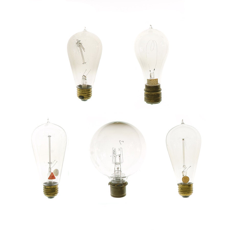Antique Light Bulbs - 12 x 12 collection photograph