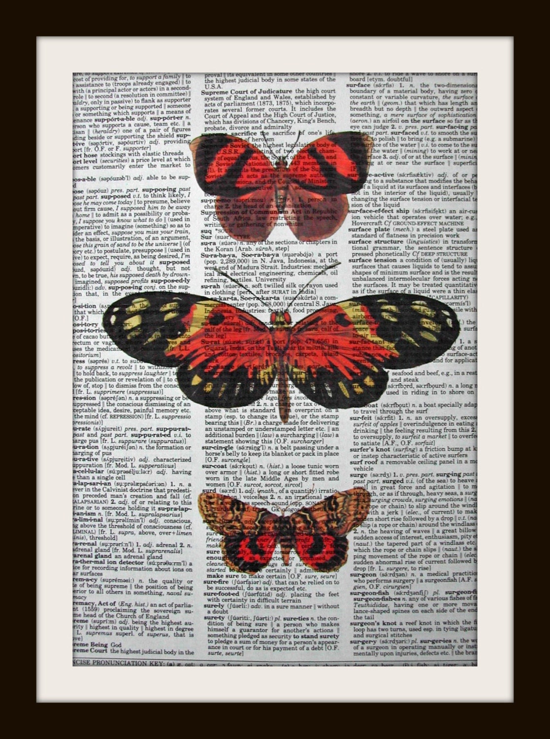Butterfly Moth Study in RED ORANGE Art Print on Gold Gilded Vintage Dictionary Page LARGE 8x10