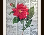 Art Print DAHLIA 8x10 Dictionary Gold Gilded Vintage Page Ready to ship