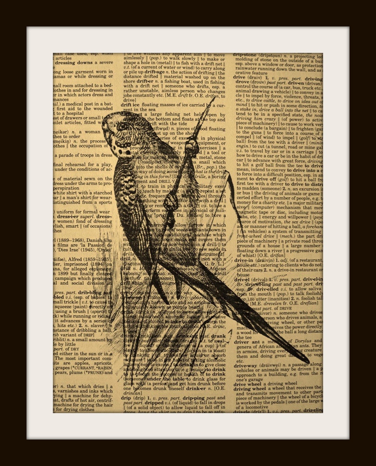 Art Print PARAKEET 8x10 Dictionary Gold Gilded Vintage Page