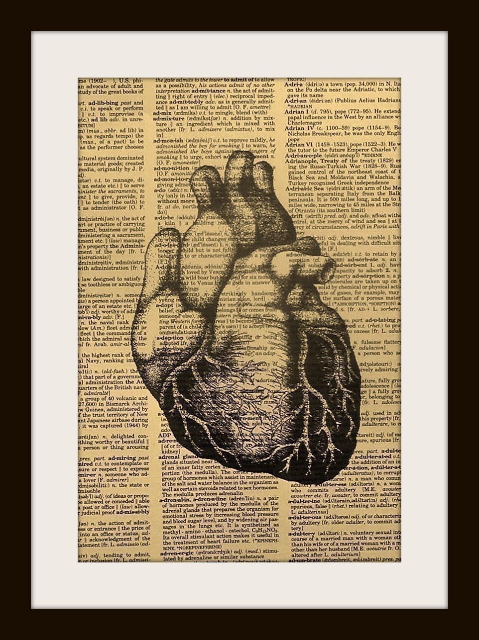 vintage anatomical heart