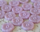 18 Lavender Blossoms 