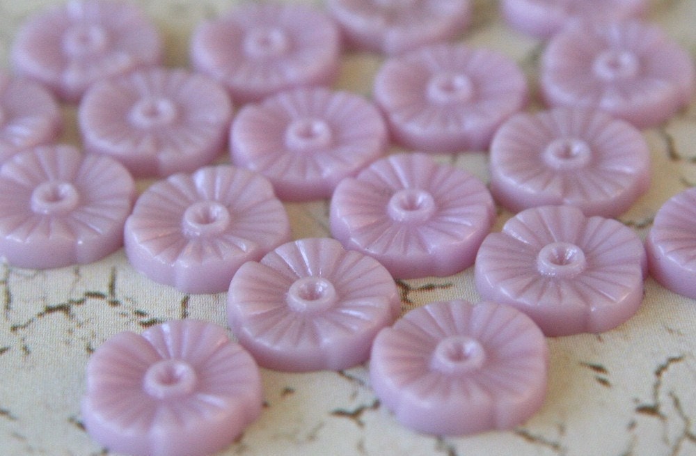 18 Lavender Blossoms 