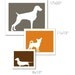 Mod American Shorthair Cat Fine Art Print