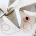 24 DELUXE Wedge-Shaped Pie Box Kits (Forks and other accessories included)