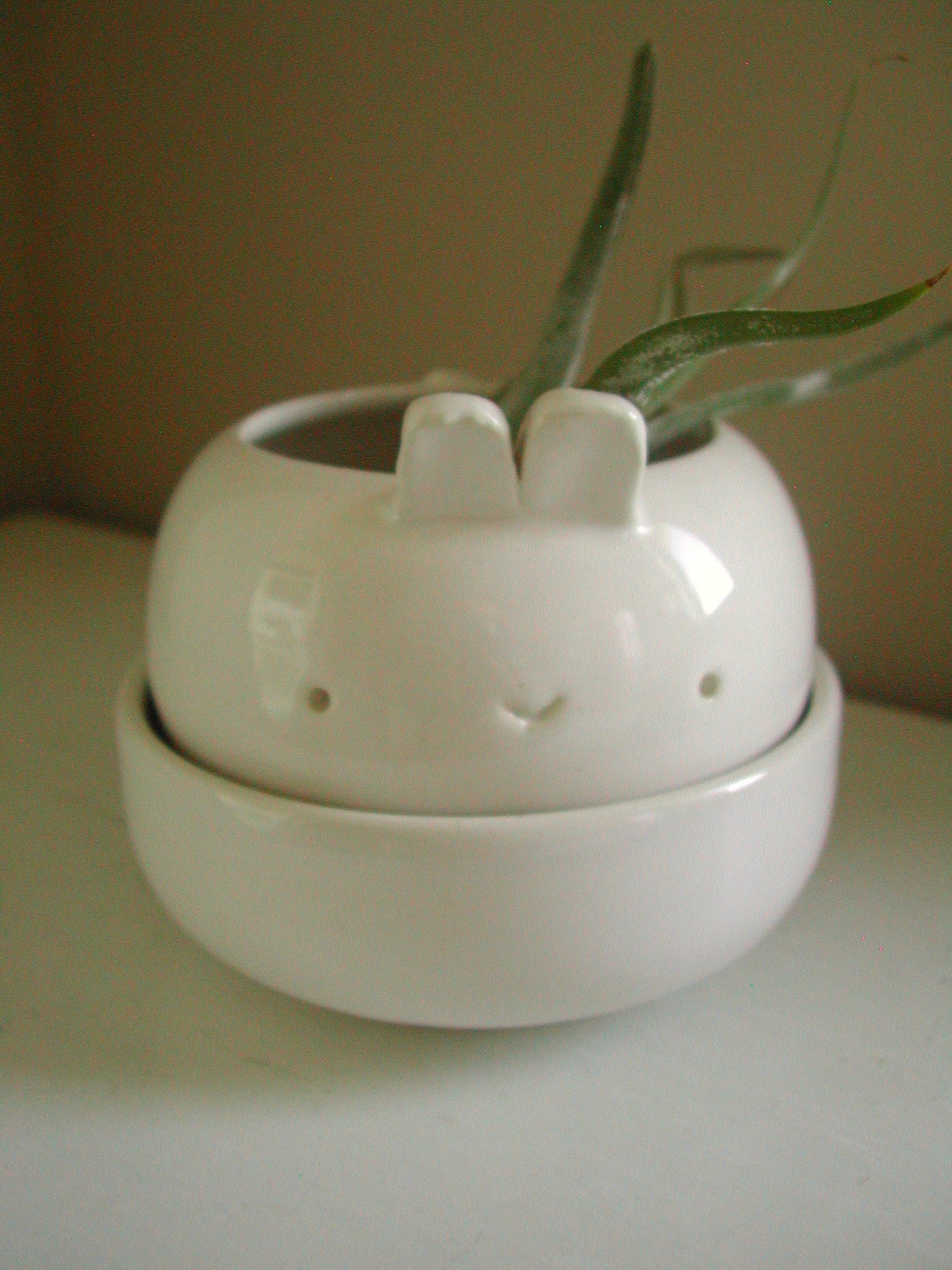 seconds sale - bunny planter
