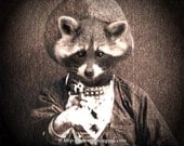 El Bandido Enmascarado - 11x14 Raccoon Fantasy Animal Fine Art Print