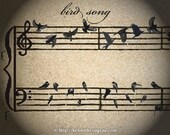 bird song 8x10 Print (by Kenneth Rougeau)