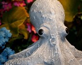 Concrete Octopus Statue Cute Baby Octopus Outdoor Garden Art