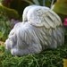 Dog Angel Statues - Dog Memorials - Shih Tsu, Lhasa Apso, Maltese, Terrier